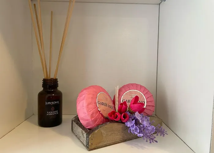 Dream * Ардженьо